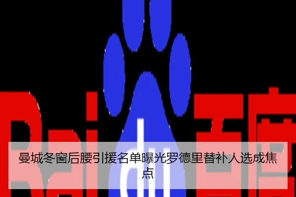 曼城冬窗后腰引援名单曝光罗德里替补人选成焦点